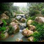 foto_giardino_zen_04