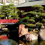 monaco_giardini_giapponesi_363